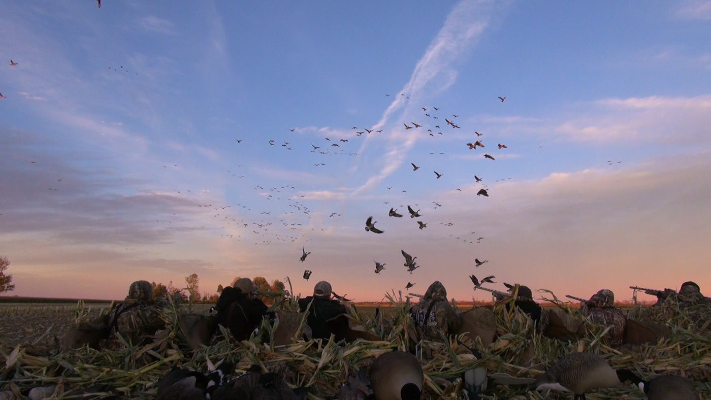 Power Calls | Unleash The Power