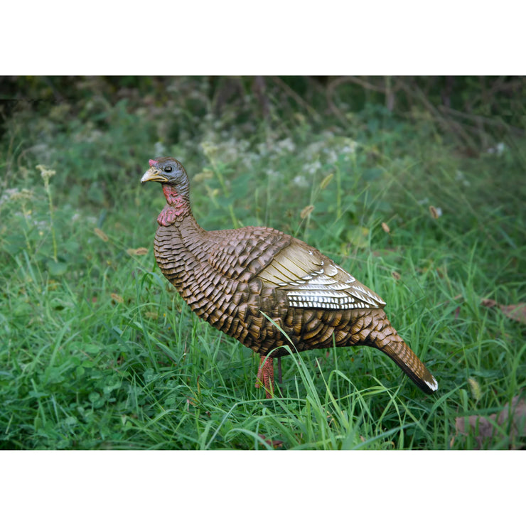 Higdon Hard Body Upright Hen Turkey