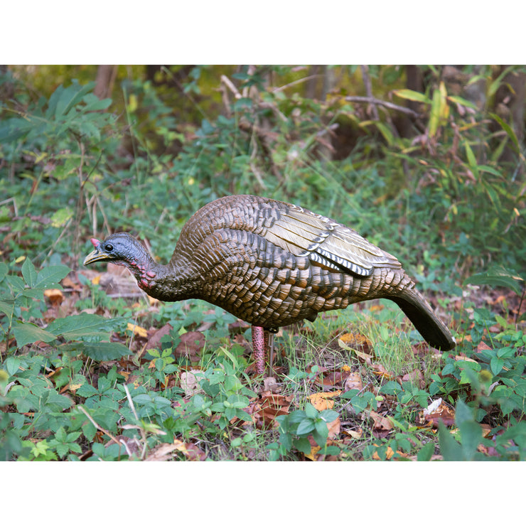 Higdon Hard Body Feeder Hen Turkey