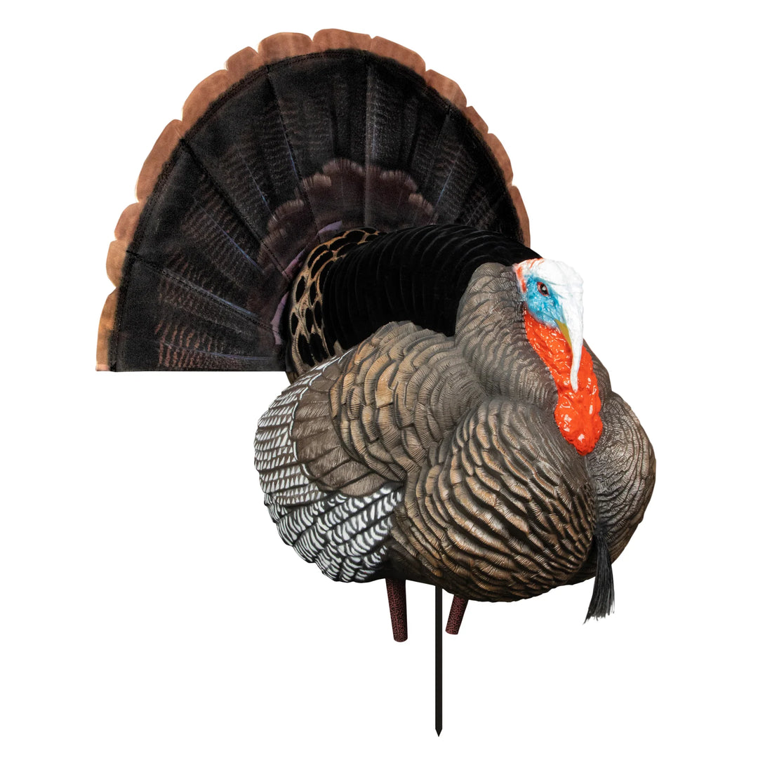 Higdon Apex Strutter Hard Body Turkey – Power Calls