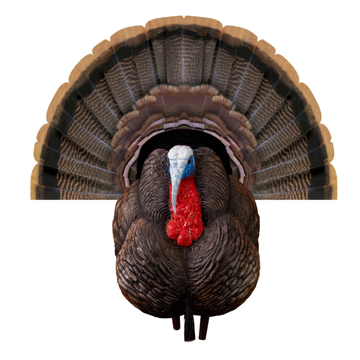 Higdon Apex Strutter Hard Body Turkey