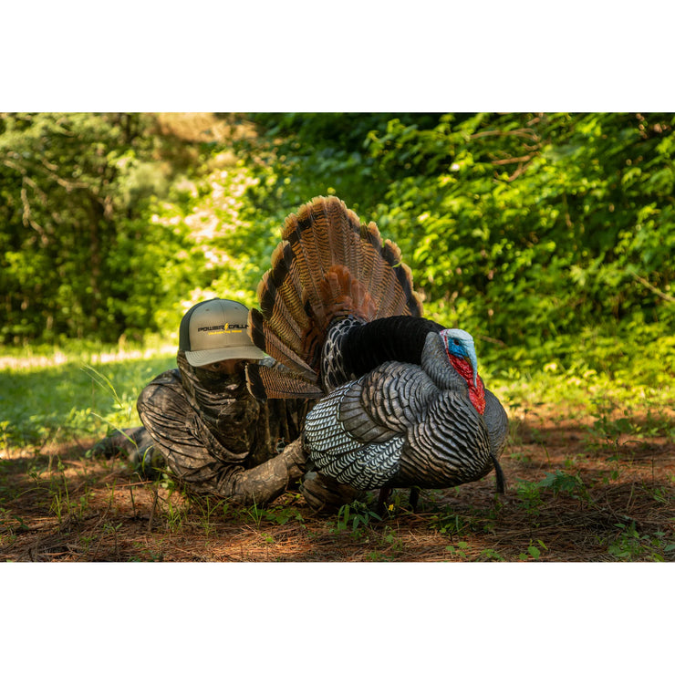 Higdon Apex Strutter Hard Body Turkey