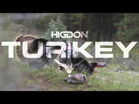 Higdon Hard Body Feeder Hen Turkey
