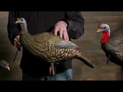 Higdon Hard Body Upright Hen Turkey