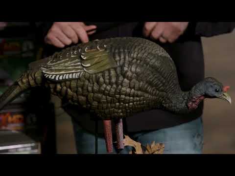 Higdon Apex Strutter Hard Body Turkey